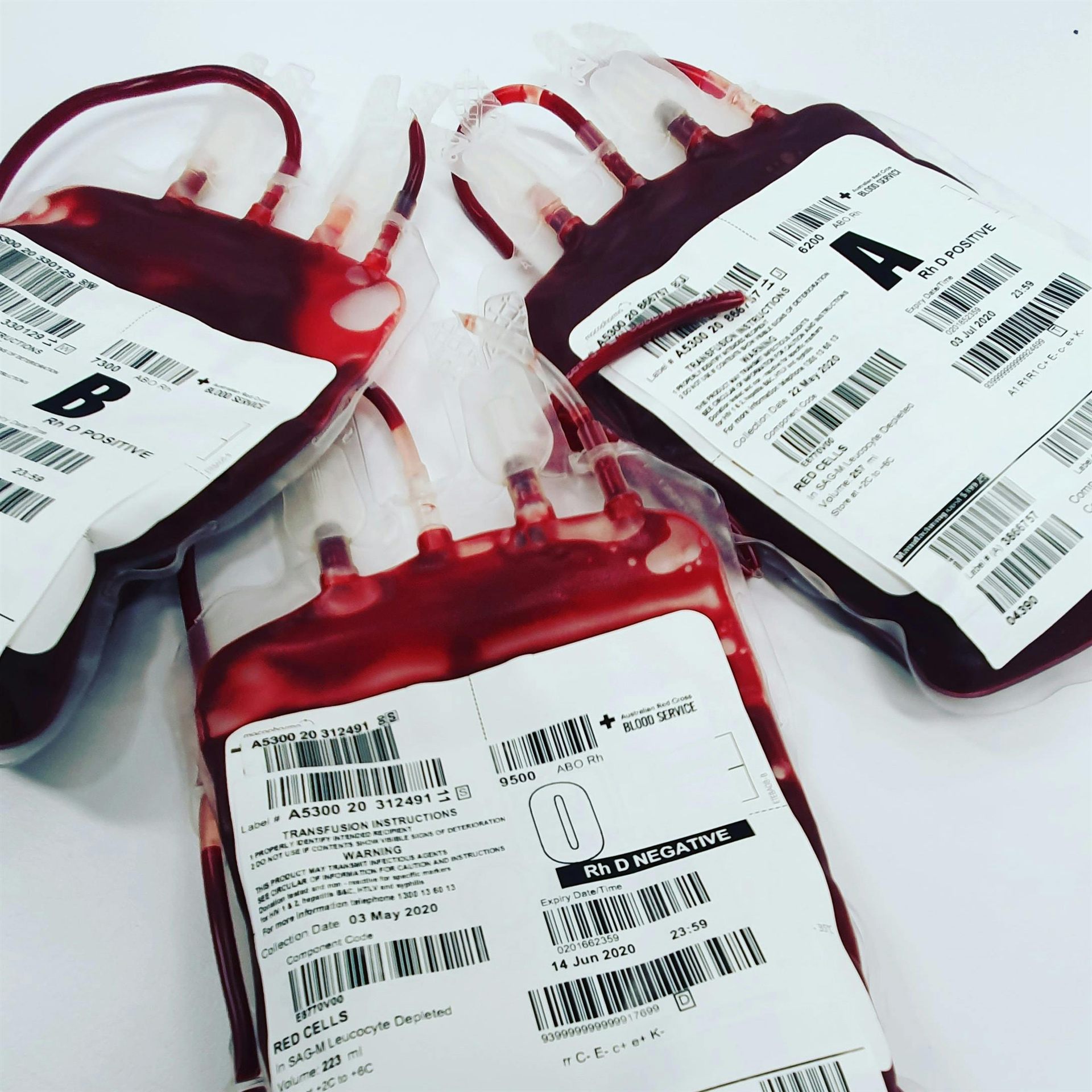 Blood Donation Camp